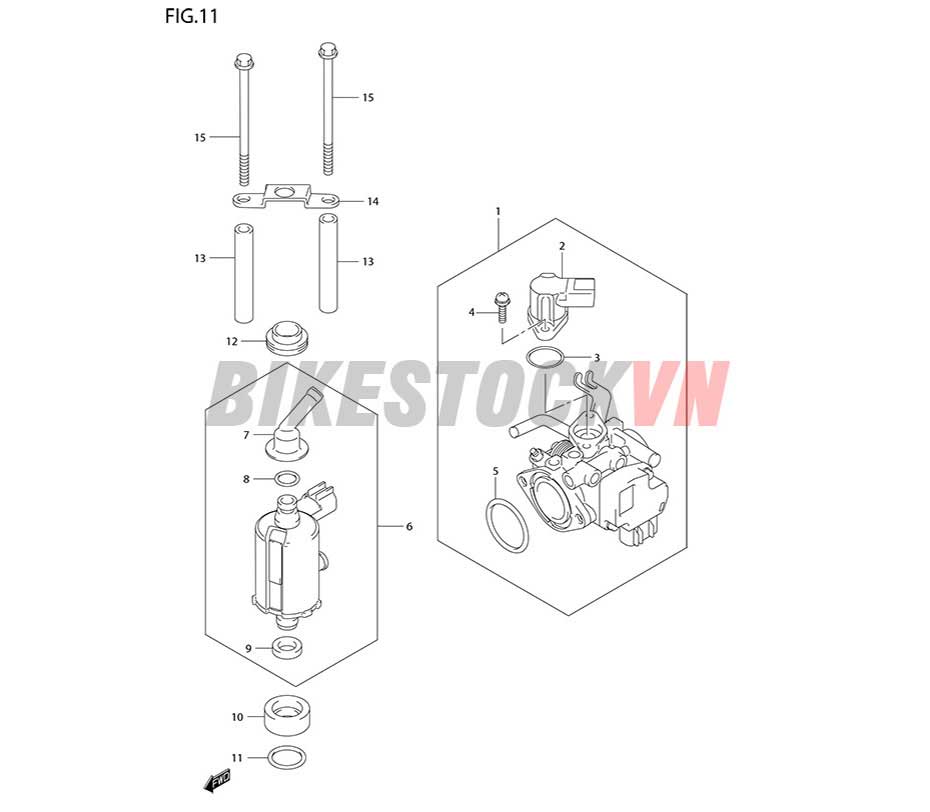 FIG-11_BỘ HỌNG GA